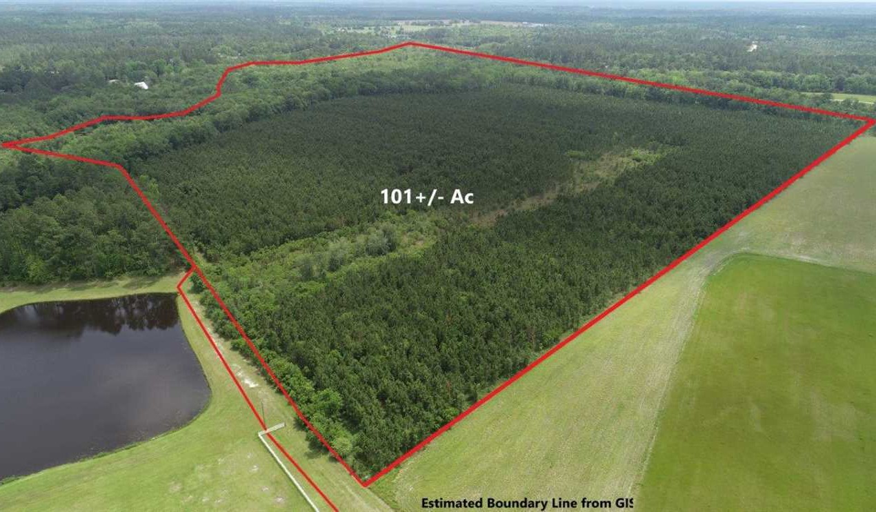 101 Acres of Land for Sale in wayne County Georgia