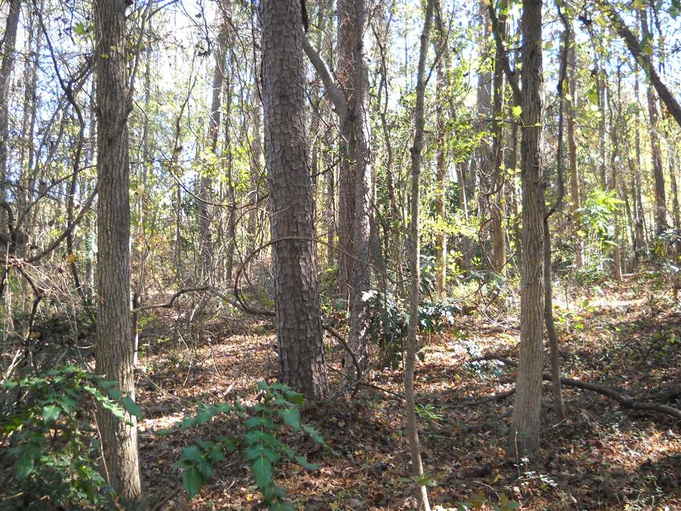 1.57+/- Acres in Albemarle, Stanly County Real estate listing