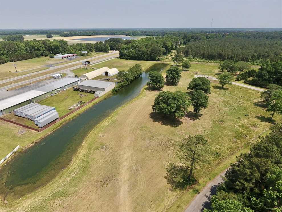 66.56 Acres of Investment and Recreational Property in Wayne County, NC! Real estate listing