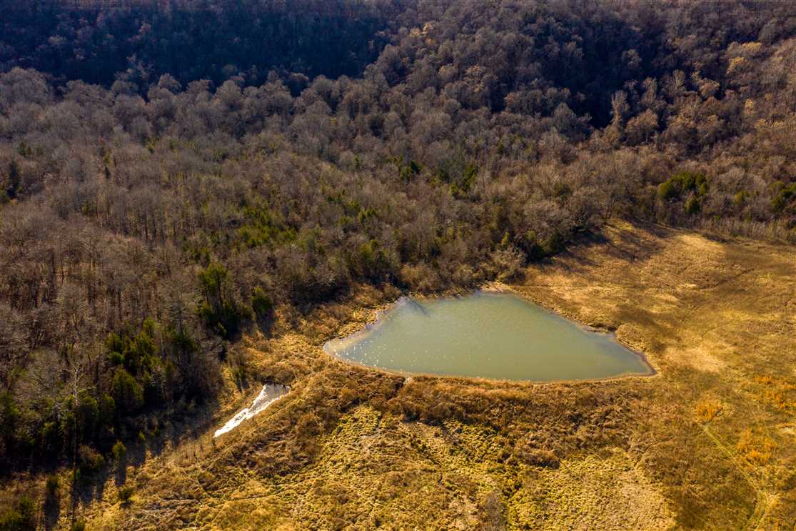 Ranchland real estate available to buy