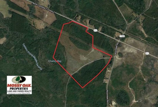 233 Acres of Land for Sale in bladen County North Carolina