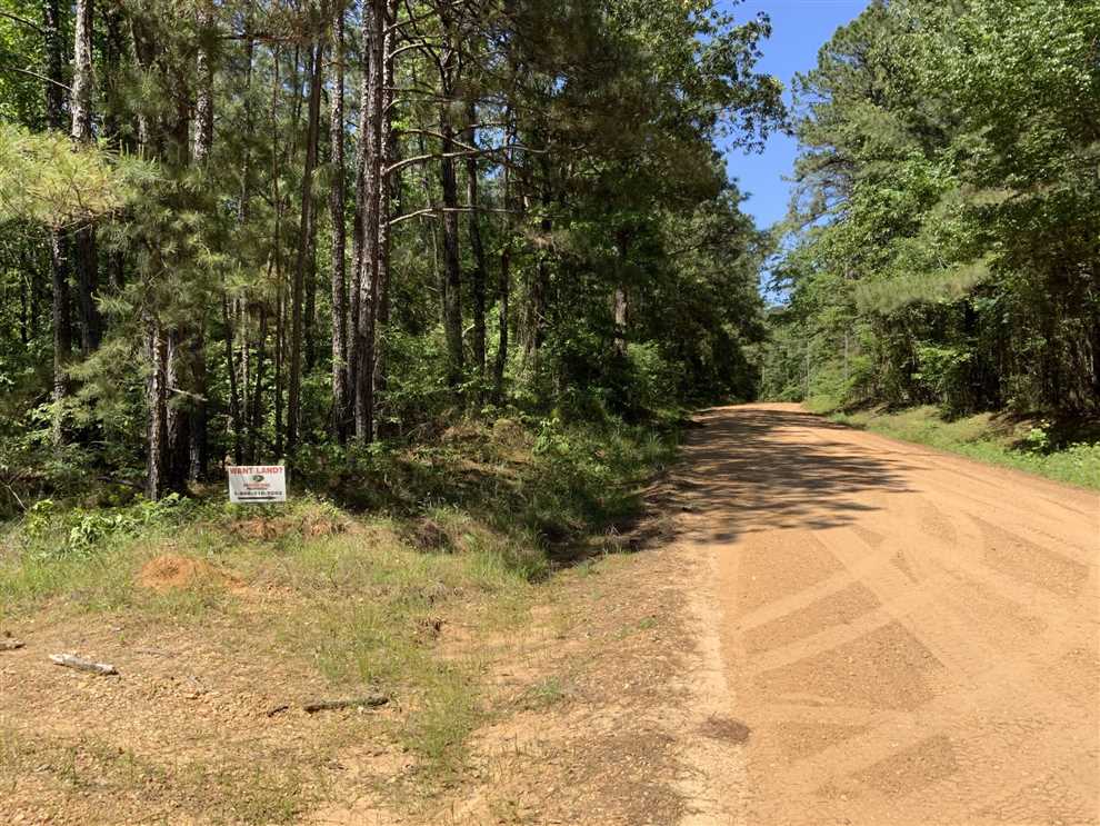 Timberland real estate available to buy