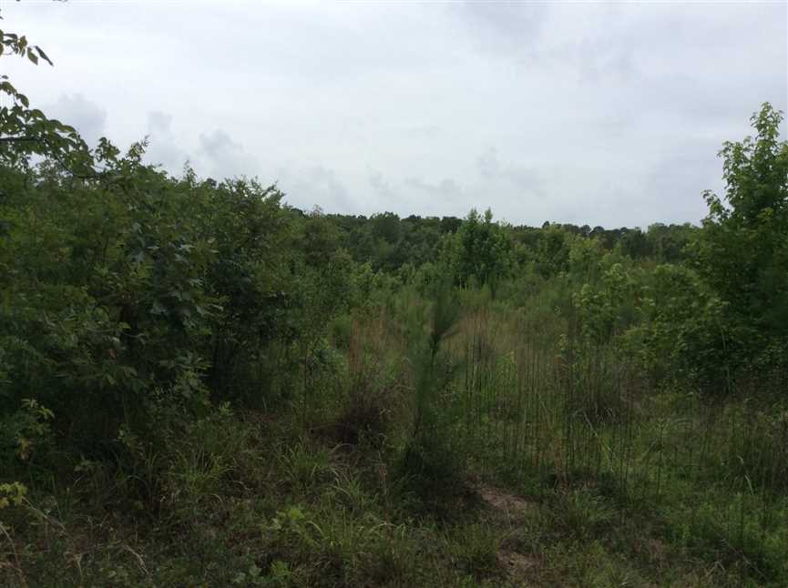 Property for sale at