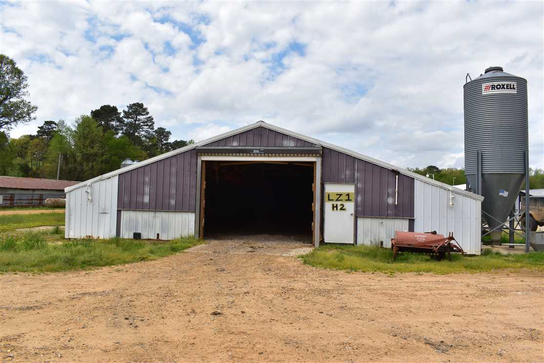 Timberland real estate available to buy