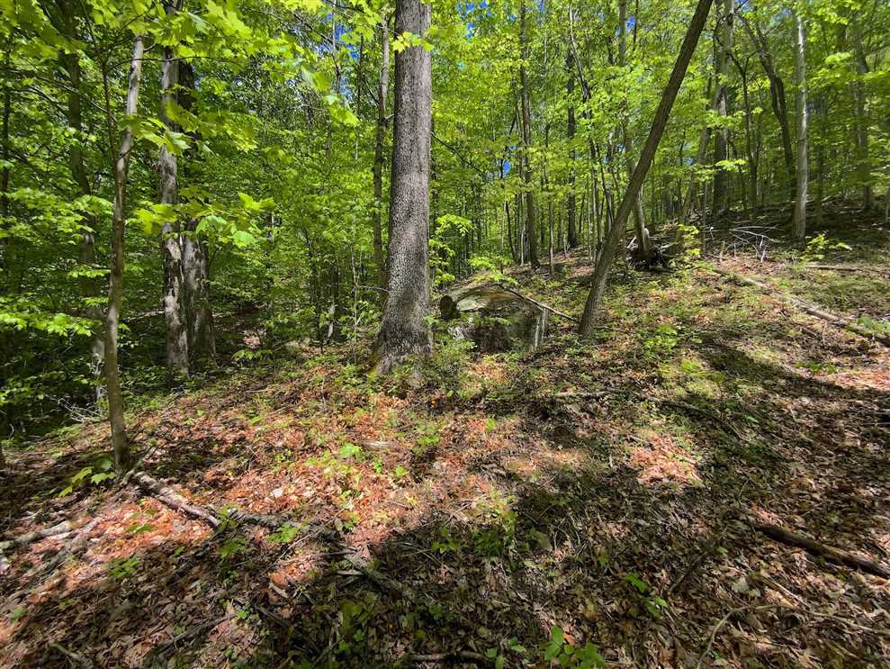 38 Acres of Land for sale in gallia County, Ohio