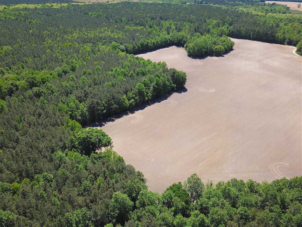 57 ACRES - GREAT OPPORTUNITY FOR A WORKING FARM TRACT IN RURAL SUFFOLK VIRGINIA! Real estate listing