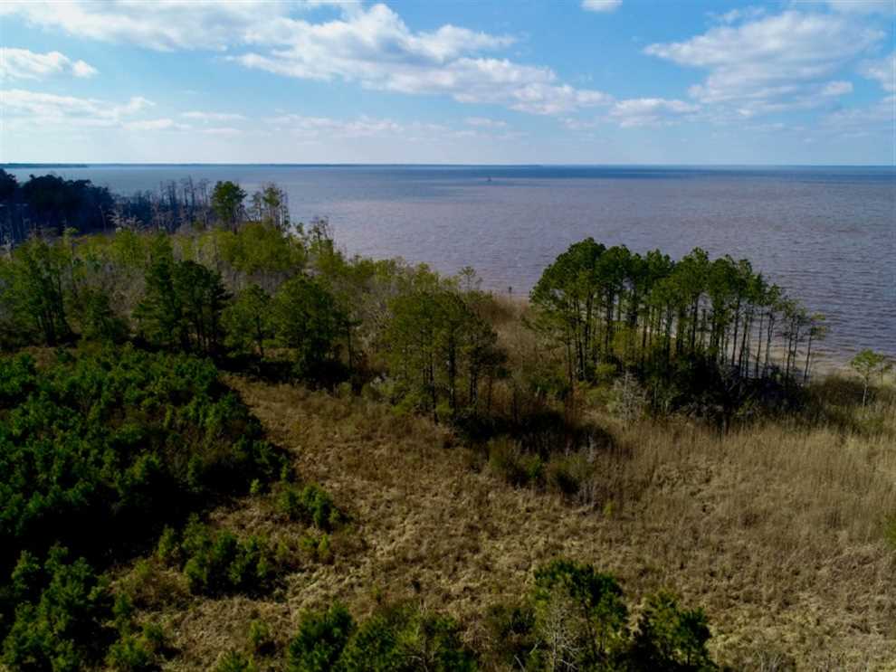 48.57 Acres of Land for sale in tyrrell County, North Carolina