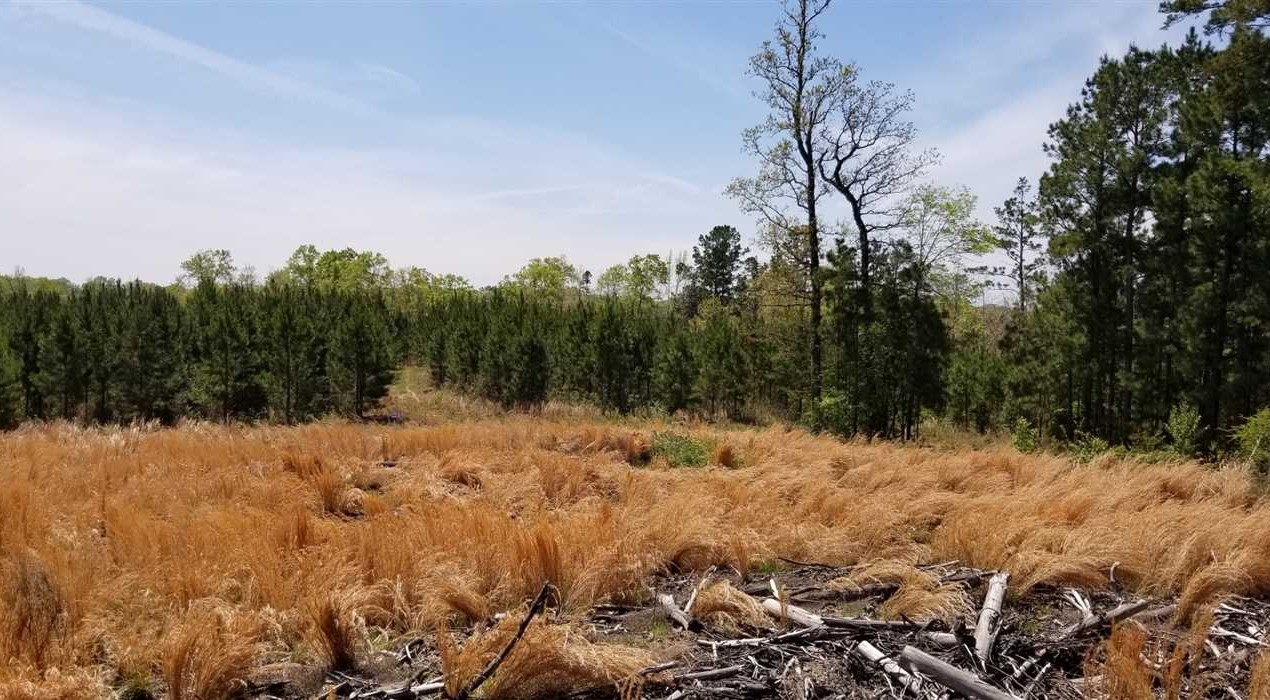 Land for sale at
