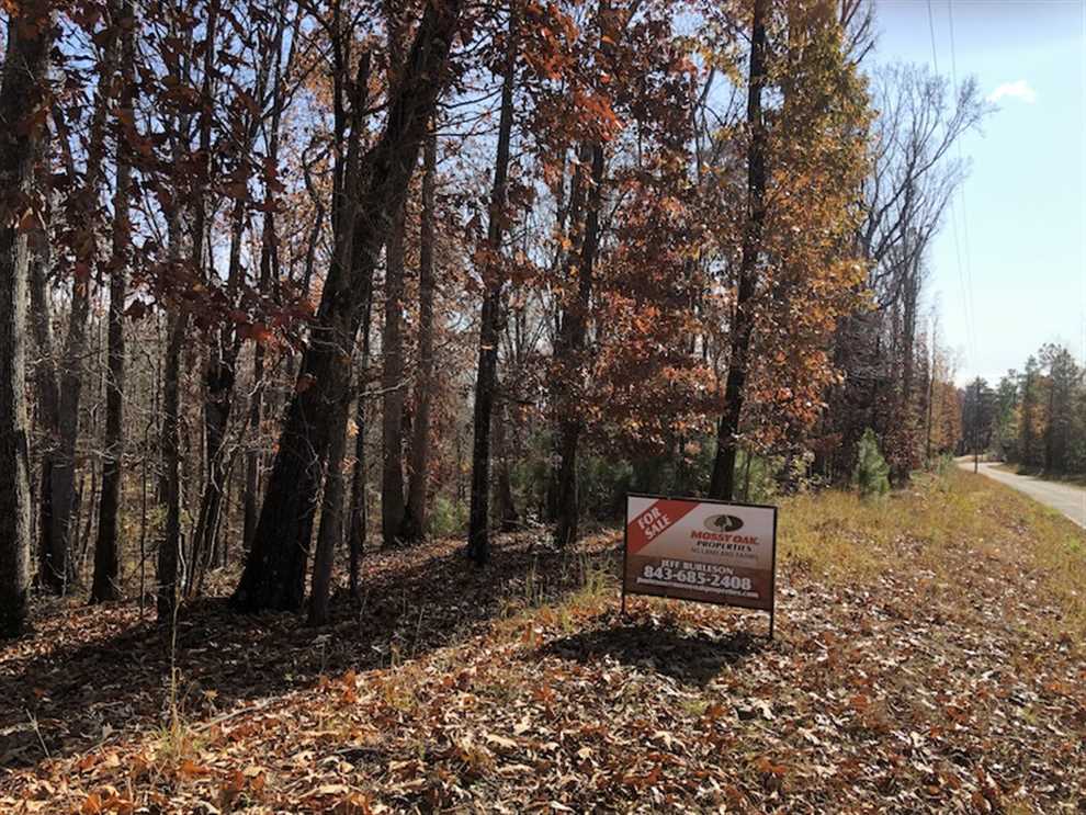 fairfield County, South Carolina property for sale