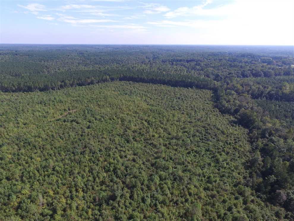 Recreational real estate available to buy