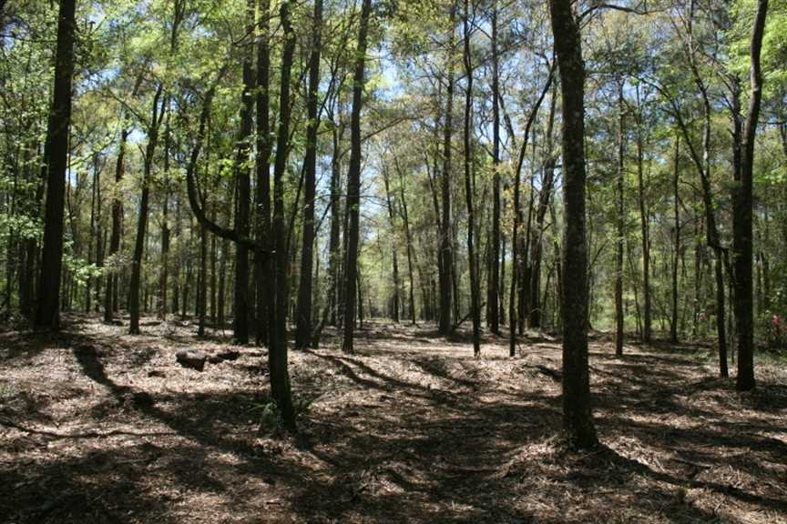 Houses and land for sale in Georgia