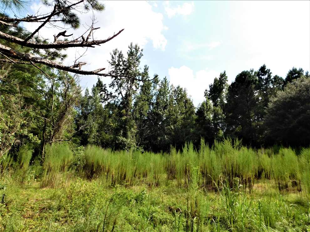 Property for sale at 1498 Player Road