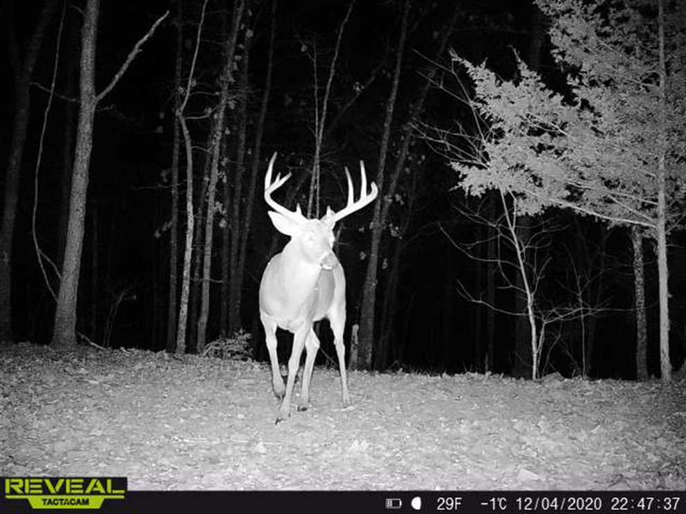112 Acres of Land for sale in fulton County, Arkansas