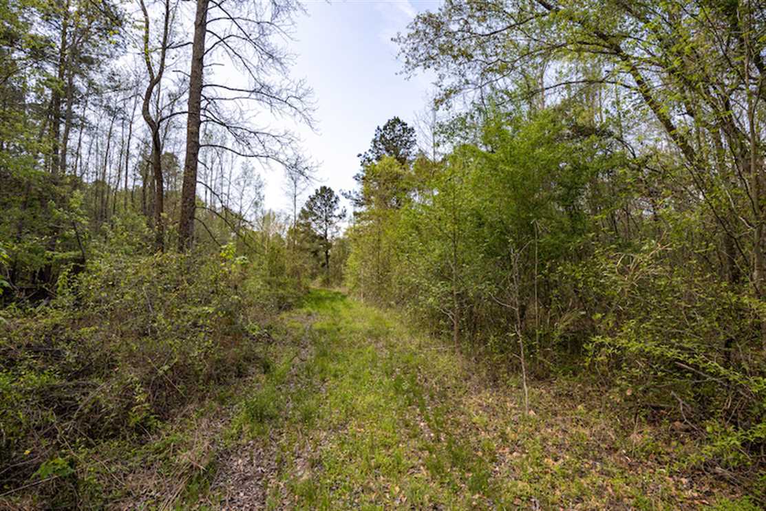 Recreational and   property for sale on The Land Market