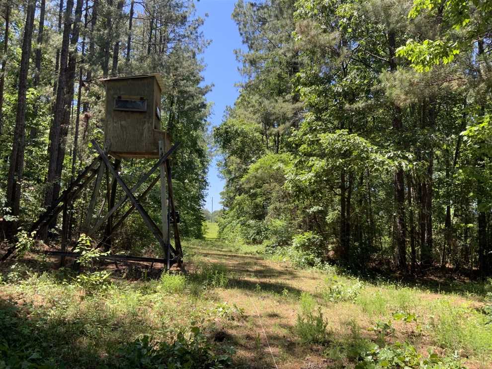 160 Acres of Recreational land for sale in Pollock, grant County, Louisiana