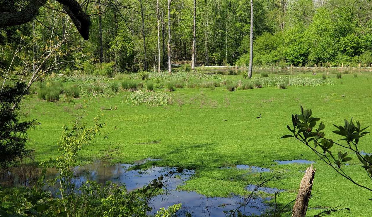 89.5 Acres of Land for Sale in york County South Carolina