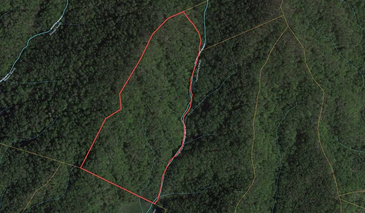 36.47 Acres of Residential land for sale in Marshall, madison County, North Carolina