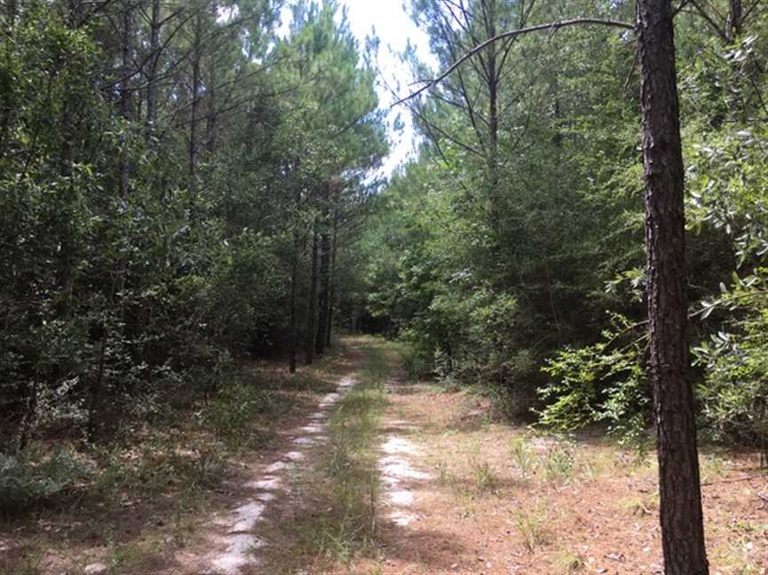 property for sale on The Land Market