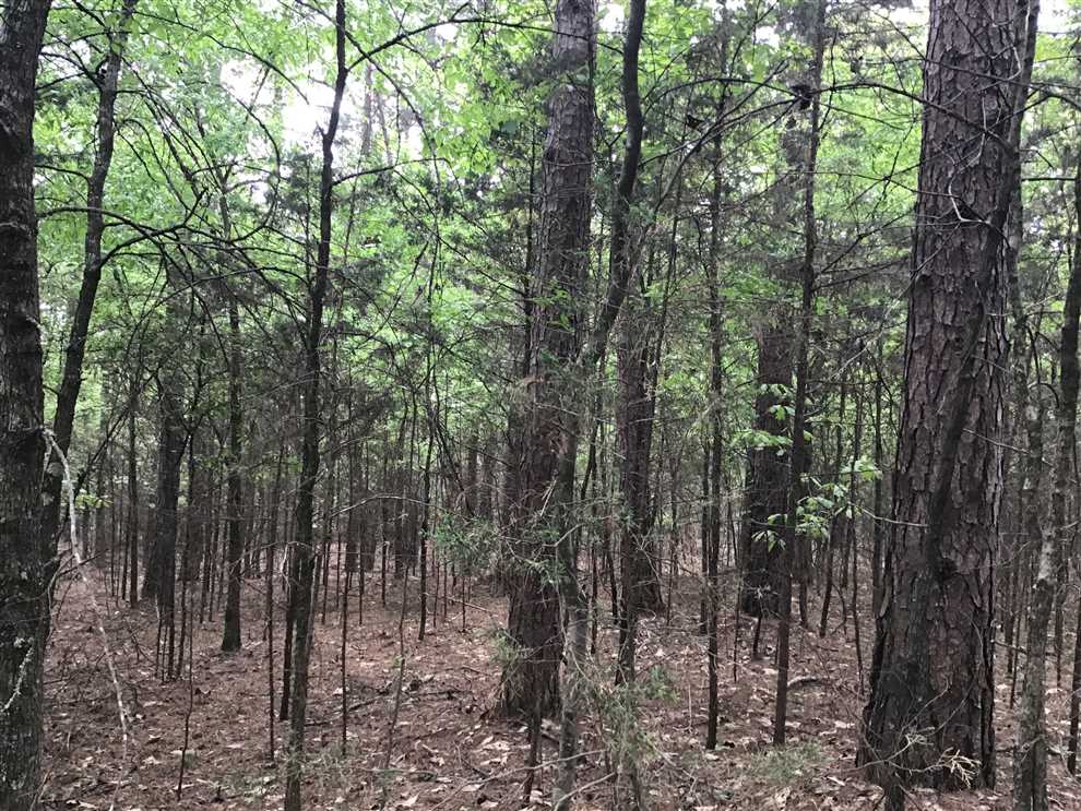 40 Acres of Residential land for sale in Rudy, crawford County, Arkansas