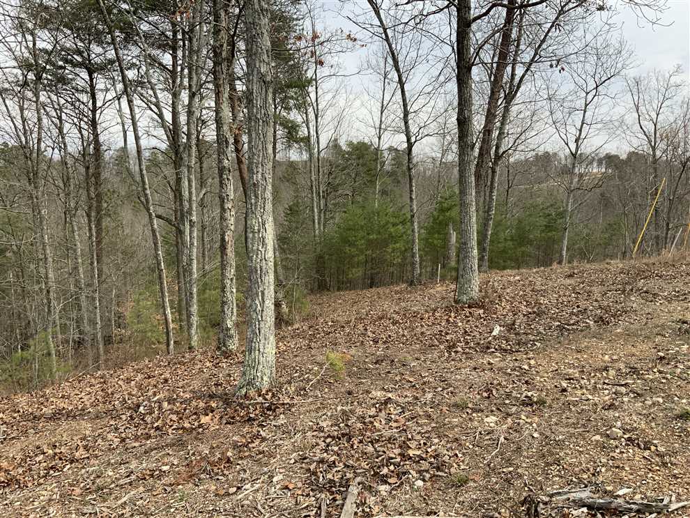 3.23 Acres of Land for sale in humphreys County, Tennessee