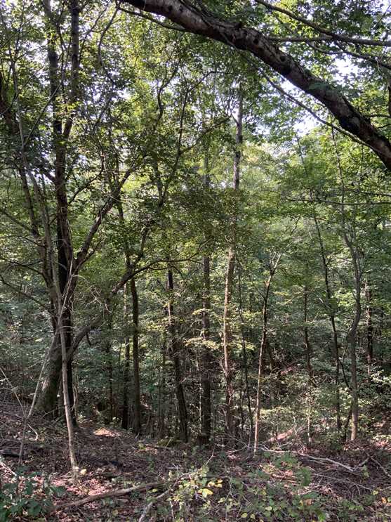 humphreys County, Tennessee property for sale