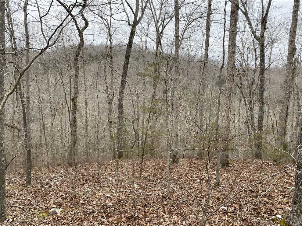 38.88 Acres of Land for sale in stone County, Arkansas