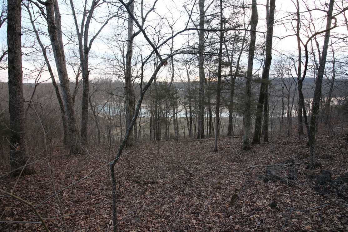 Land for sale at CR D