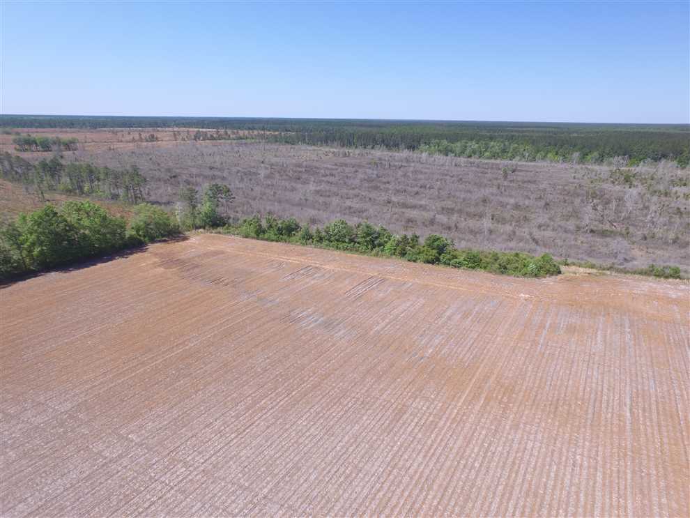 94.67 Acres of Land for sale in wayne County, Georgia