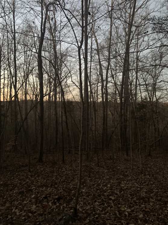 Recreational real estate available to buy