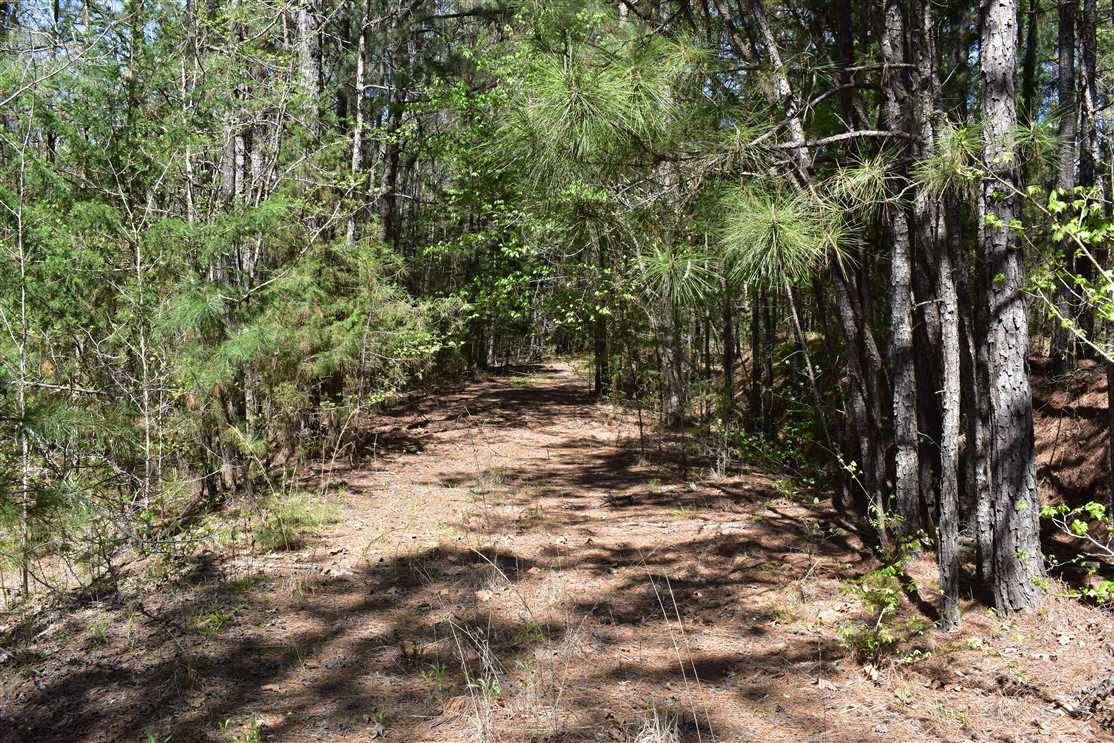 81.71 Acres of Residential land for sale in Rosston, nevada County, Arkansas