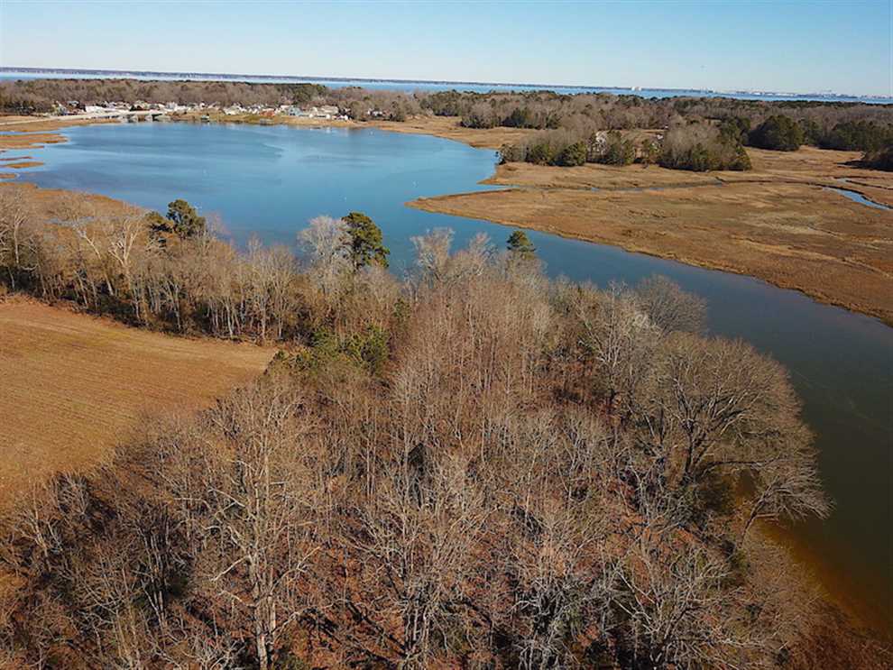 47 Acres of Land for sale in isle of wight County, Virginia