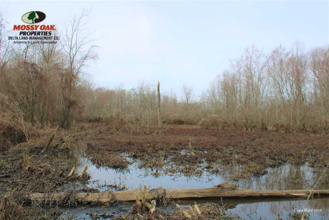 Property for sale at