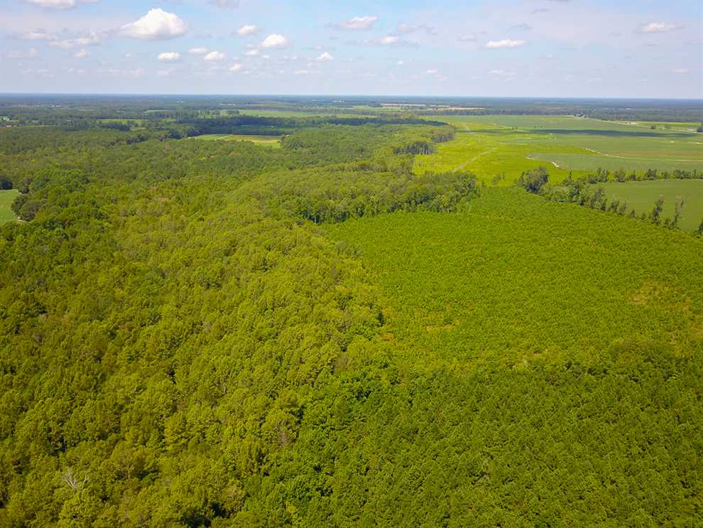 55 Acres of Land for sale in bertie County, North Carolina