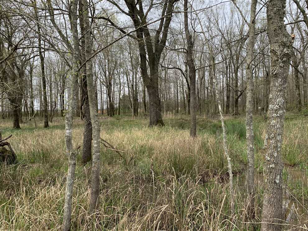 Property for sale at