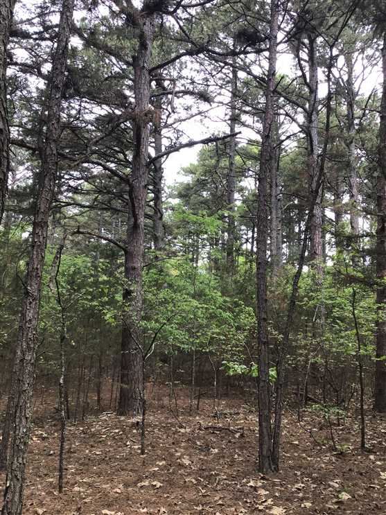 40 +/- Acres in North West Arkansas Real estate listing
