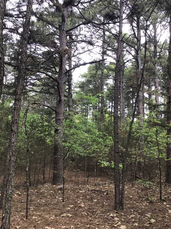 40 +/- Acres in North West Arkansas Real estate listing