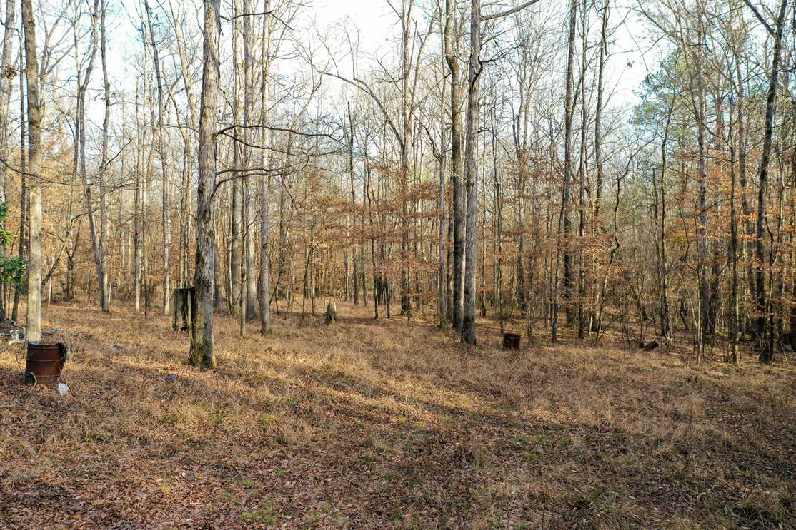 Elmore County Hunting Land! 584 beautiful acres Real estate listing