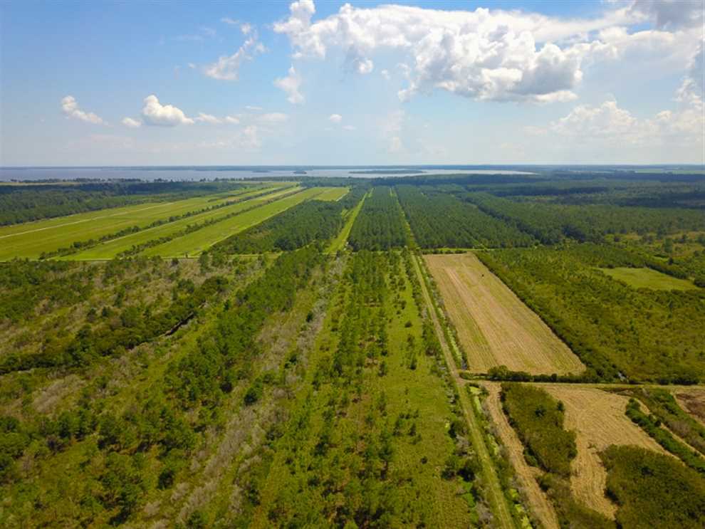 Residential and   property for sale on The Land Market