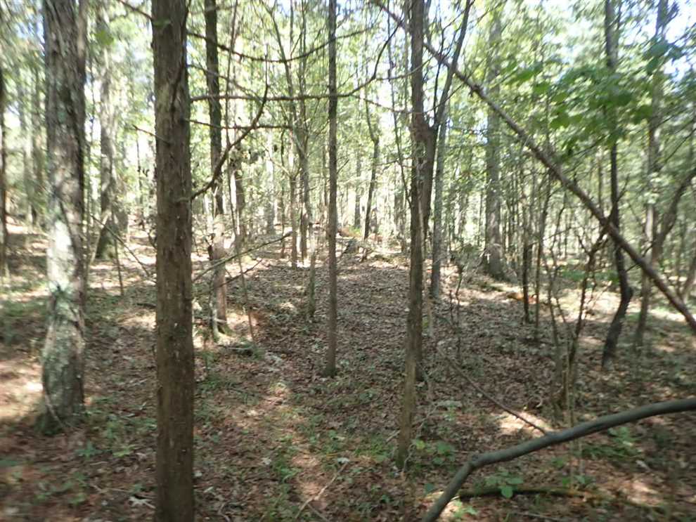 Houses and land for sale in Mississippi