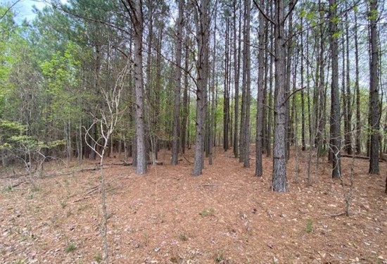 5.6 Acres of Land for Sale in marion County Tennessee