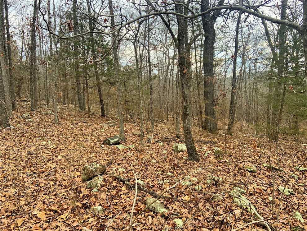 Residential and   property for sale on The Land Market