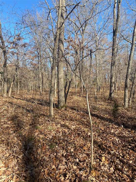 Recreational and   property for sale on The Land Market