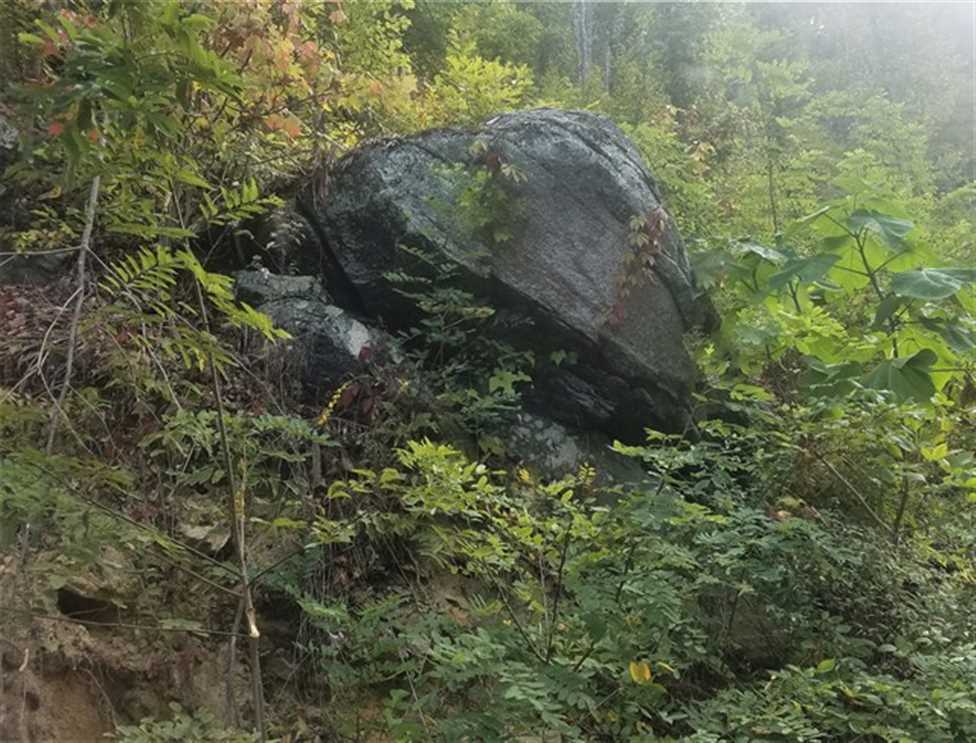 Houses and land for sale in North Carolina