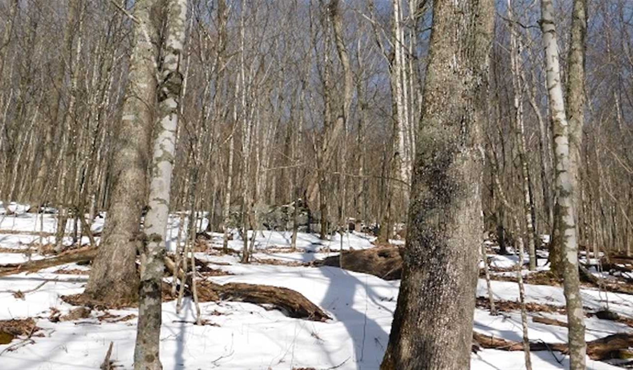 Recreational real estate available to buy