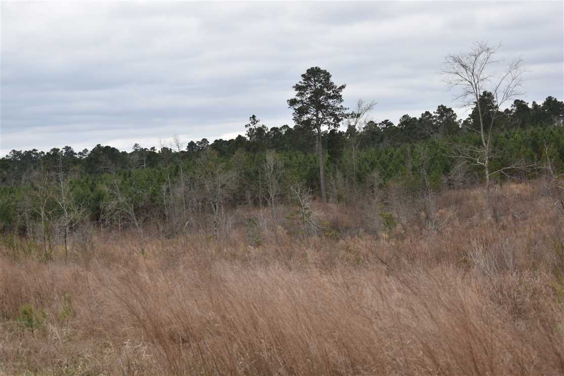 Houses and land for sale in Arkansas