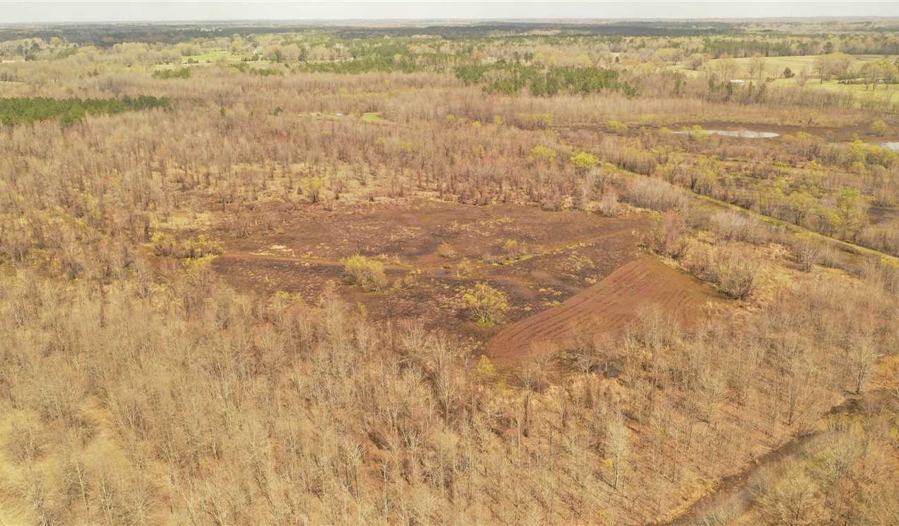 oktibbeha County, Mississippi property for sale