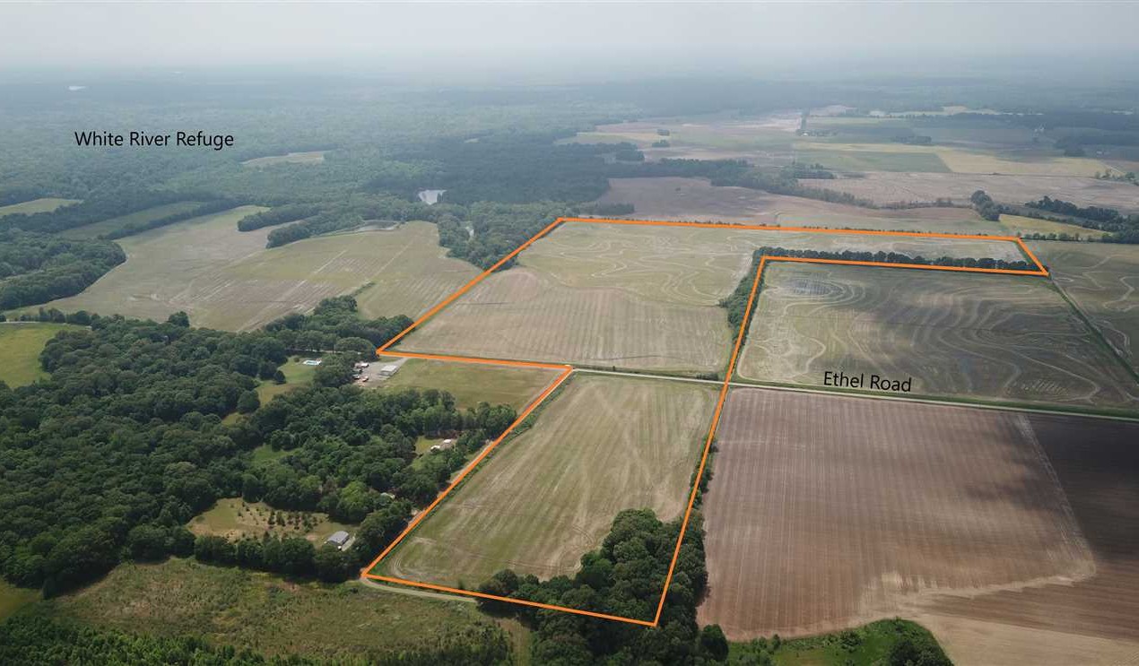 123.8 Acres of Land for Sale in arkansas County Arkansas