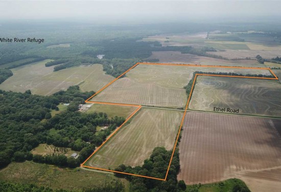 123.8 Acres of Land for Sale in arkansas County Arkansas