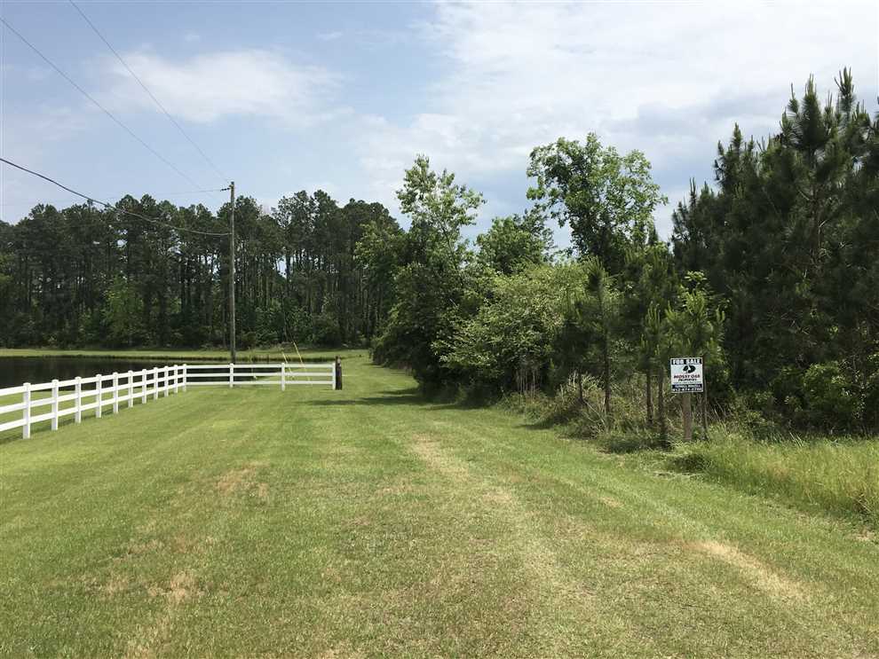 101 Acres of Recreational land for sale in Jesup, wayne County, Georgia