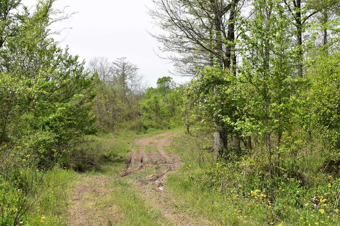 property for sale on The Land Market